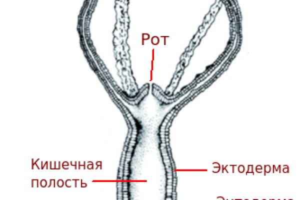 Кракен найти сайт
