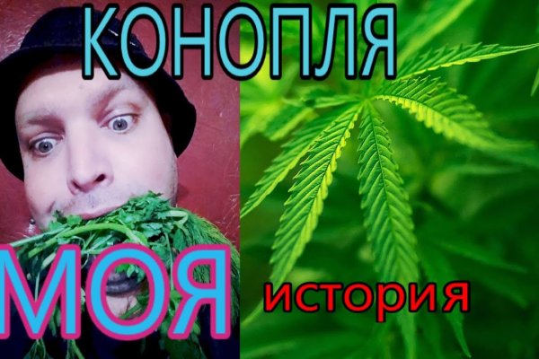 Оригинальный сайт кракен